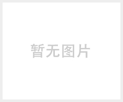 斯因特SYT5-40烧结滤芯